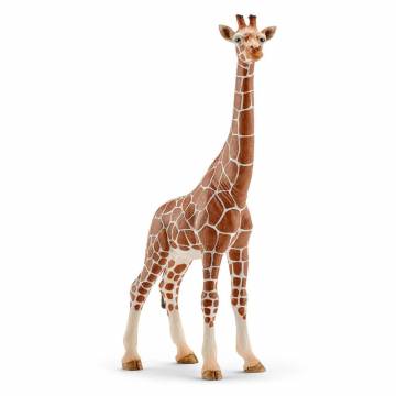 Ігрова фігурка Schleich «Тварини Африки. Самка Жирафа» Ігрова фігурка Schleich «Тварини Африки. Самка Жирафа»