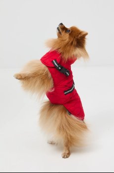 Куртка для питомца Medicine