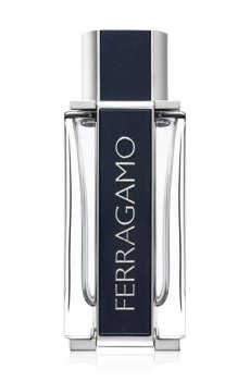 Salvatore Ferragamo Ferragamo Туалетная вода мужская, 100 мл (ТЕСТЕР)