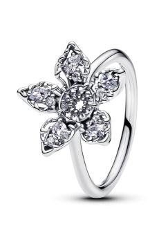 Каблучка "Демогоргон" Дивні дива