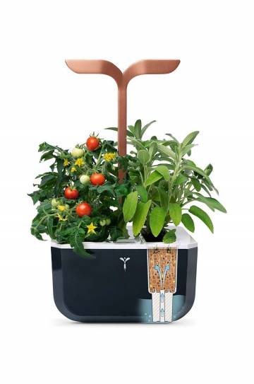 Автономный домашний сад Veritable Exky Smart Автономный домашний сад Veritable Exky Smart