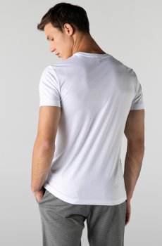 Lacoste футболка чоловіча