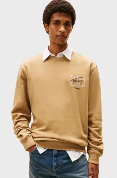 Мужской бежевый свитшот ENTRY Бежевый XL Tommy Jeans DM0DM22366