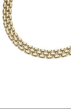 Цепочка Fossil Arden Watch Links