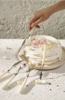 Лопатки для торта 5 шт. - кремовий