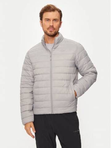4F Пуховик 4FWAW24TDJAM483 Сірий Regular Fit 4F Пуховик 4FWAW24TDJAM483 Сірий Regular Fit
