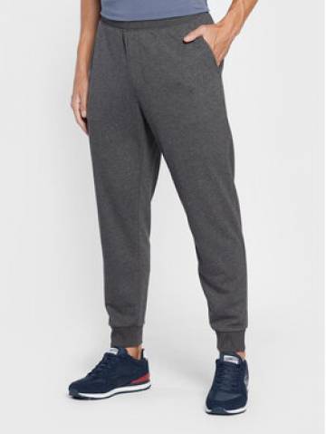 Skechers Спортивні штани Expedition M1PT57 Сірий Regular Fit Skechers Спортивні штани Expedition M1PT57 Сірий Regular Fit