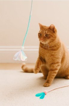 Іграшки для кота набір з 2 шт. - різнобарвний