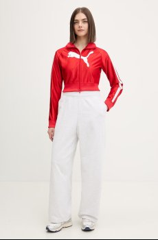 Кофта Puma Future