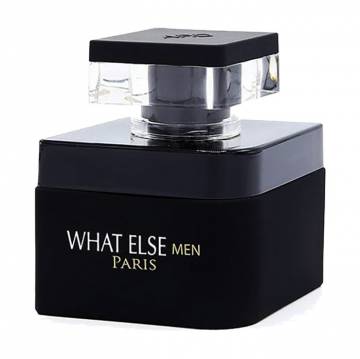 Prestige Parfums What Else Парфюмированная вода мужская, 100 мл Prestige Parfums What Else Парфюмированная вода мужская, 100 мл