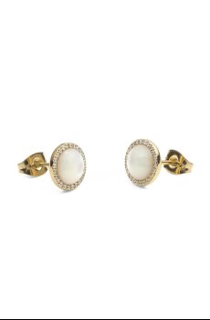 Сережки Daniel Wellington