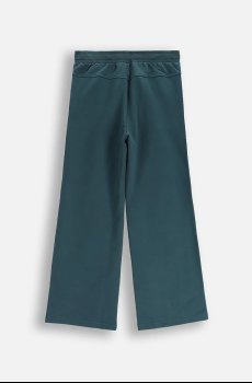 Детские спортивные штаны Coccodrillo