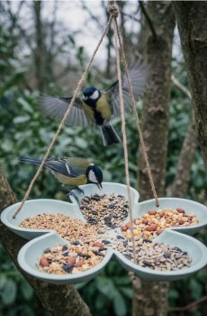 Підвісна годівниця для птахів у формі квітки - блідо-зелений