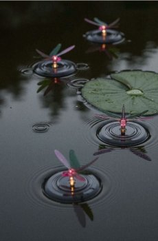 Сонячна LED-лампа з мотивом бабки - clear