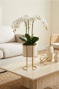 Стійка для рослин з металевою рамкою - кремовий