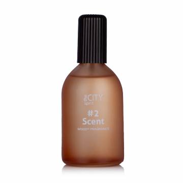 The City Spirit Spicy 2 Scent Туалетная вода мужская, 115 мл The City Spirit Spicy 2 Scent Туалетная вода мужская, 115 мл