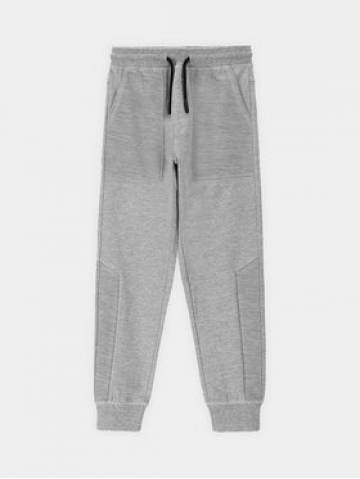 Coccodrillo Спортивні штани WC4120101RAJ Сірий Regular Fit Coccodrillo Спортивні штани WC4120101RAJ Сірий Regular Fit