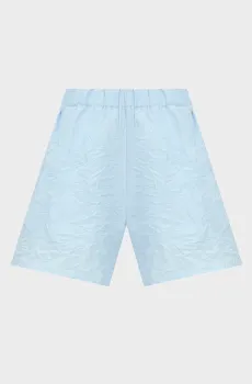 Женские голубые шорты Голубой S PRPY PWSHOLESUA015