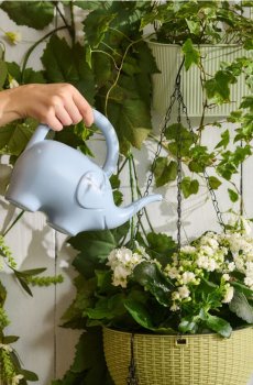 Лійка у формі слона - блакитний