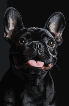 Картина за номерами Strateg Французький чорний бульдог на чорному фоні 30 х 40 (FH-32)
