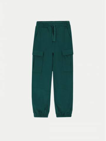 Coccodrillo Спортивні штани ZC4120101SGJ Зелений Regular Fit Coccodrillo Спортивні штани ZC4120101SGJ Зелений Regular Fit