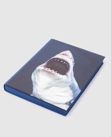 Книга Sharks. Michael Muller Книга Sharks. Michael Muller