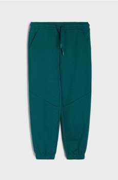 Спортивні штани джогери - синьо-зелений