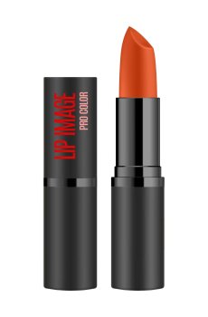 Помада для губ Revers Cosmetics Lip Image Pro Color Lipstick NR 13, 4 г
