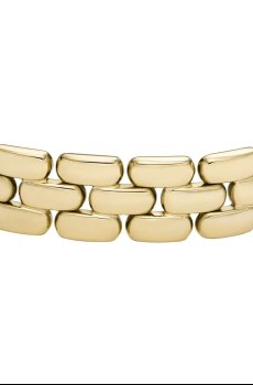 Браслет Fossil Arden Watch Links