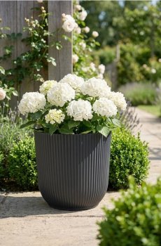 Рифлений горщик для квітів - чорний