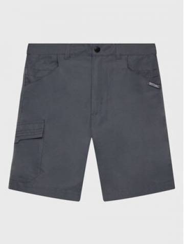 Regatta Спортивні шорти Sorcers II RKJ106 Сірий Regular Fit Regatta Спортивні шорти Sorcers II RKJ106 Сірий Regular Fit