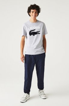 Lacoste футболка чоловіча