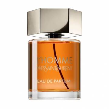 Yves Saint Laurent LHomme Парфюмированная вода мужская, 100 мл Yves Saint Laurent LHomme Парфюмированная вода мужская, 100 мл