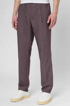 Мужские фиолетовые шерстяные брюки Фиолетовый 52 HUGO 50553811;236