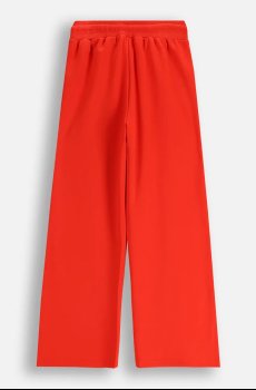 Детские спортивные штаны Coccodrillo