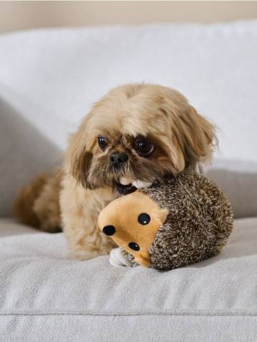 Іграшка для собак - бежевий Іграшка для собак - бежевий