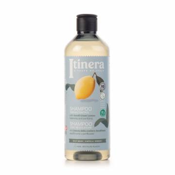 Шампунь Itinera Sebum Control Shampoo для жирных волос, с лимоном, 370 мл Шампунь Itinera Sebum Control Shampoo для жирных волос, с лимоном, 370 мл