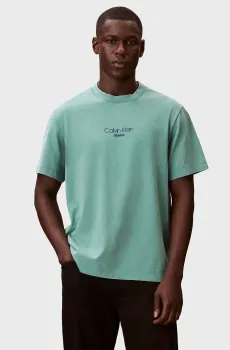 Мужская зеленая футболка GRAPHIC Зеленый L Calvin Klein Jeans LV04RB824G