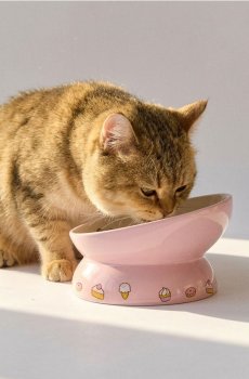 Керамічна миска на ніжці для тварин Pusheen the Cat - пастельний рожевий