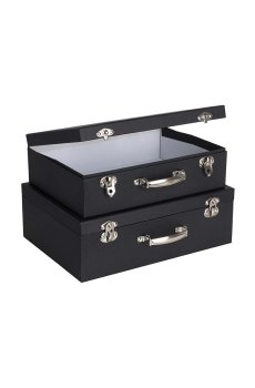 Комплект ящиков для хранения Bigso Box of Sweden Siri 2 шт