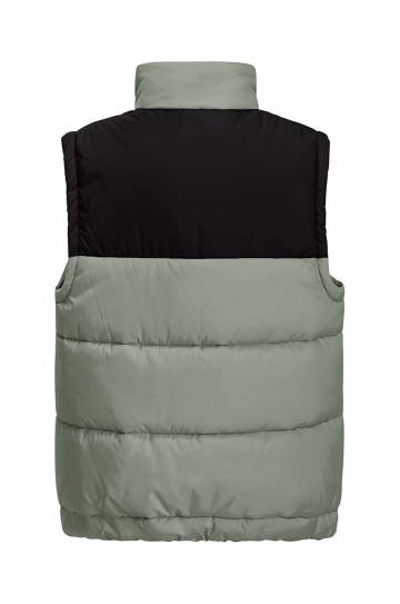 Детская безрукавка Jack Wolfskin цвет зелёный 1610211 Детская безрукавка Jack Wolfskin цвет зелёный 1610211
