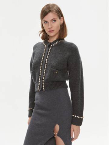 Pinko Кардиган Murena 102115 A18O Сірий Regular Fit Pinko Кардиган Murena 102115 A18O Сірий Regular Fit