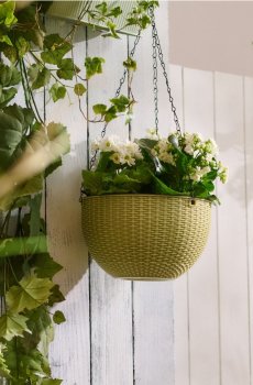 Підвісний горщик із ланцюгом - блідо-зелений