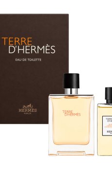 Парфюмированный набор мужской Hermes Terre DHermes (туалетная вода, 100 мл + гель для душа, 80 мл)