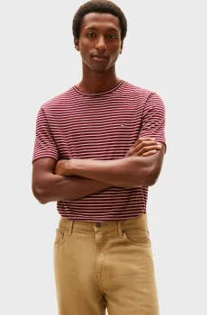 Мужская футболка в полоску SEASONAL Разноцветный M Tommy Hilfiger MW0MW40923