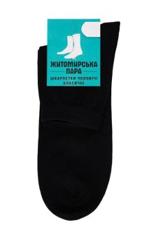 Носки мужские Житомирська пара 262 классические, сетка, 00 черные, размер 40-41