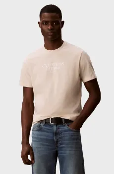 Мужская бежевая футболка WHOLESALE Бежевый L Calvin Klein Jeans LV14RF804G