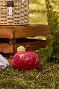 Скарбничка - червоний