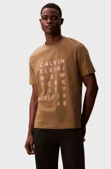 Мужская коричневая футболка LIGHTS Коричневый XL Calvin Klein Jeans LV04RF814G