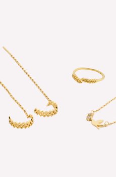 Бандл Украинские мотивы